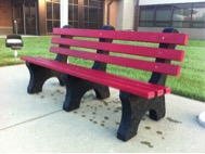 STRIDES Program Recycling Project – Lids to Benches